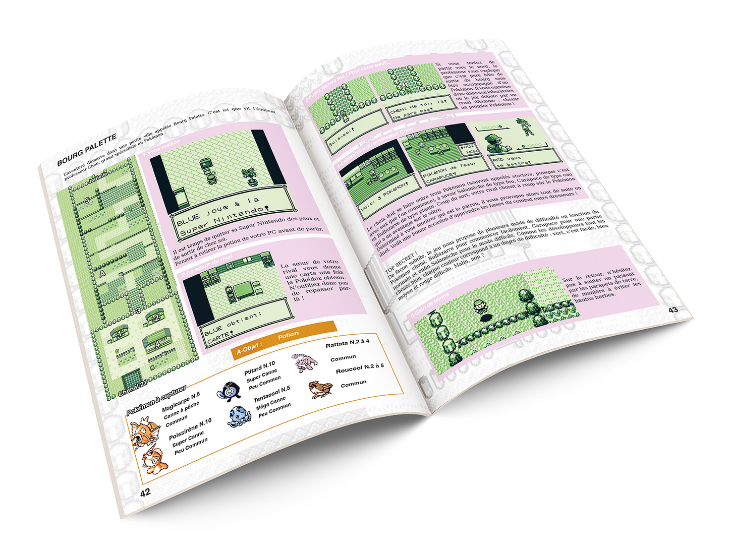 Guide Pokémon Bleu & Rouge - Pages intérieures avec soluce complète et cartes Kanto