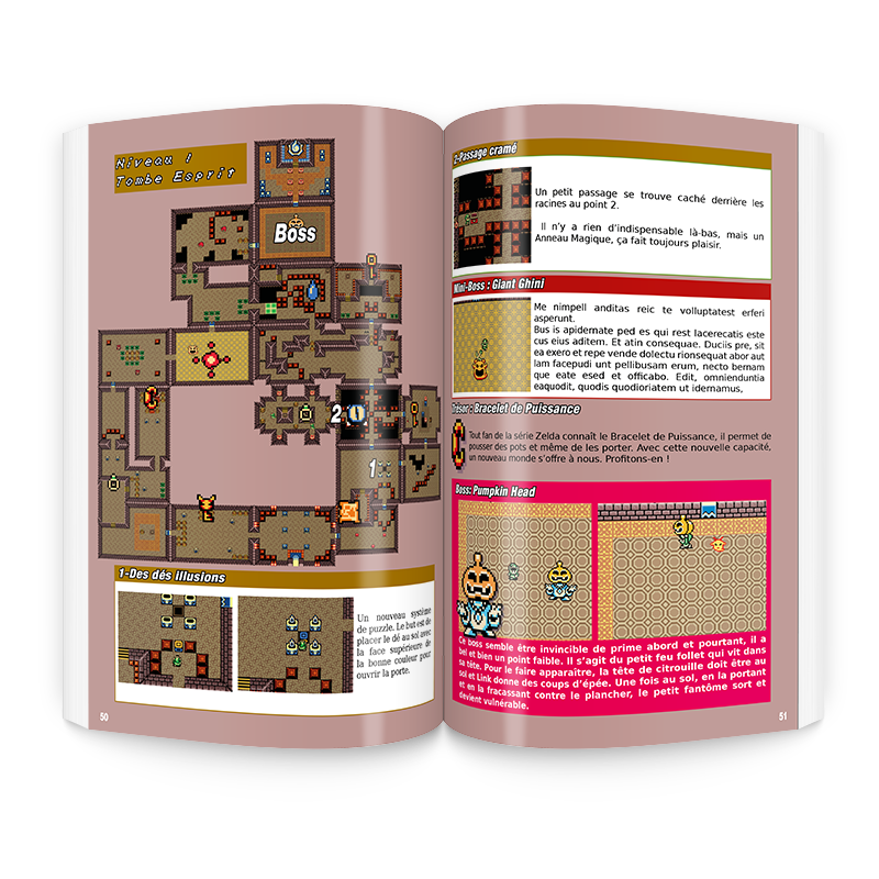 Zelda : Oracle of Ages - Guide Deluxe n°12