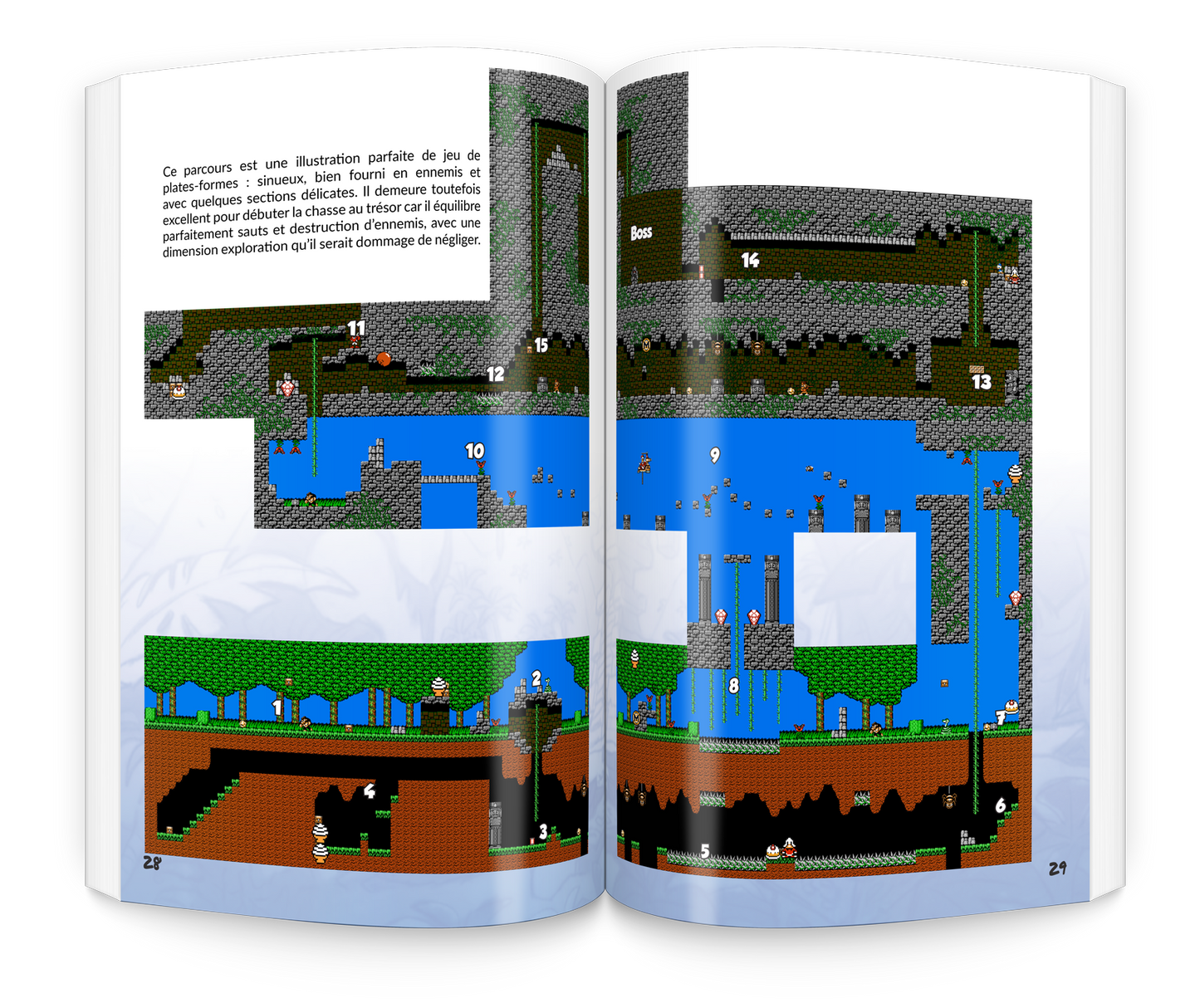 Duck Tales : Guide Complet n°22