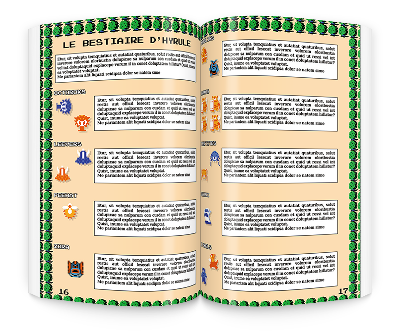 The Legend of Zelda NES : Guide Complet n°8
