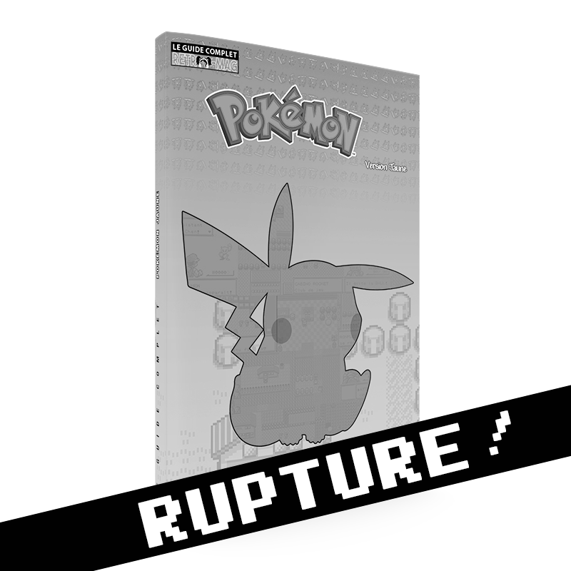 Jaune Guide File Pokémon version Jaune : Guide Complet n°13 – Écureuil-Noir