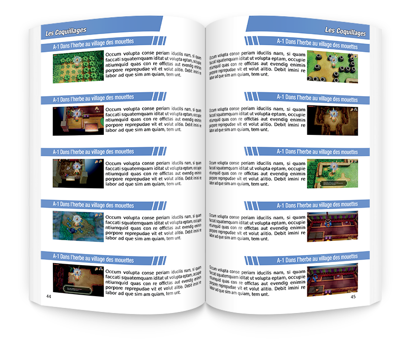 Zelda Link's Awakening Switch : Guide Complet n°20