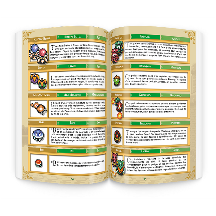 Guide Complet Adventures Of Lolo - L'écureuil Noir - Version Française - Occasion